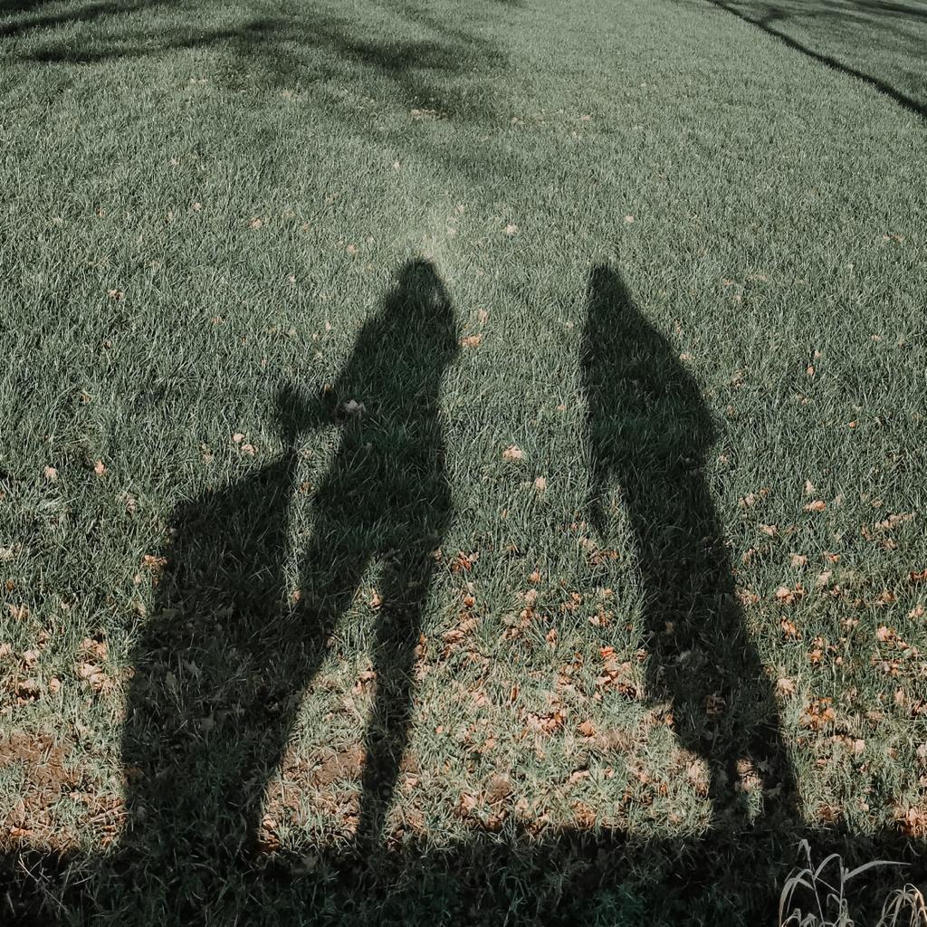 Schaduw van Rachel en Judith in het gras, met een vuilniszak en grijpstok.